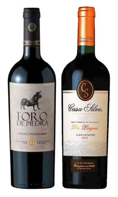 PACK DUO VINOS Nº3: Vino Toro de Piedra (Carmenere / Cabernet) 750cc + Vino Casa Silva Gran Terroir Carmenere 750cc