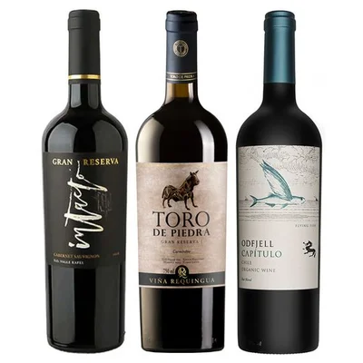 PACK INTACTO N°2: 1x Vino Miravalle Intacto Gran Reserva Cabernet Sauvignon 750cc + 1x Vino Toro de Piedra Gran Reserva Cabernet Sauvignon 750cc + 1x Vino Odfjell Gran Reserva Capítulo Flying Fish (CA/CS/MA/SY) 750cc