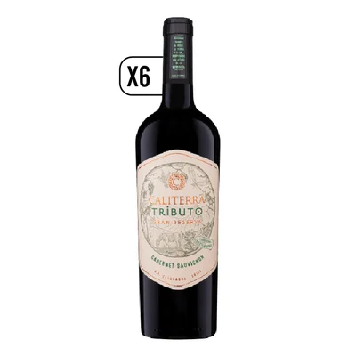 Pack Vino 6x Tributo Cabernet Sauvignon 750cc