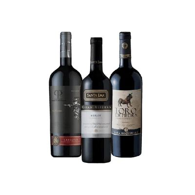 Pack Vinos Gran Reserva 1x Casas Patronales Maucho Carignan + 1x Toro De Piedra + 1x Santa Ema Botella 750cc