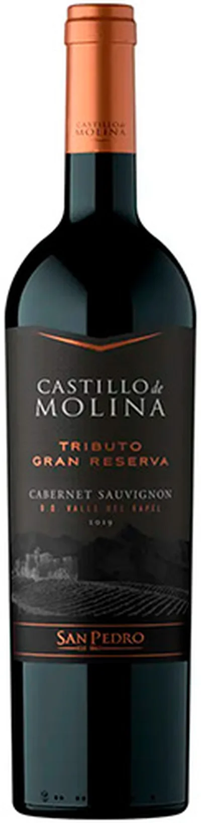 San Pedro Castillo De Molina Tributo Gran Reserva Cabernet Sauvignon 2023