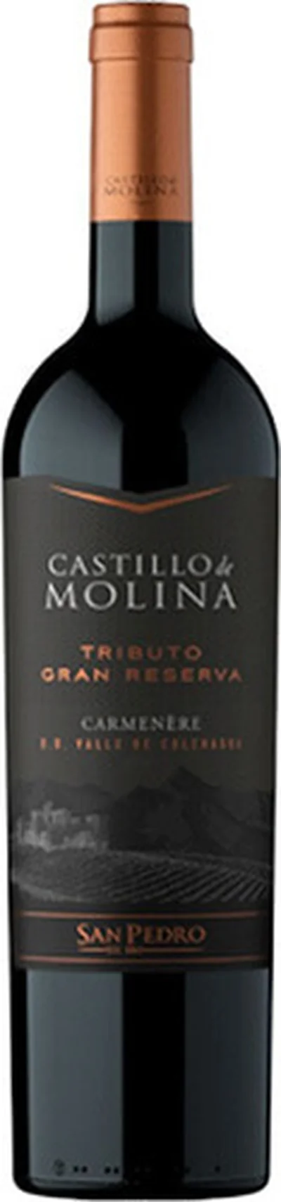 San Pedro Castillo De Molina Tributo Gran Reserva Carmenere 2021