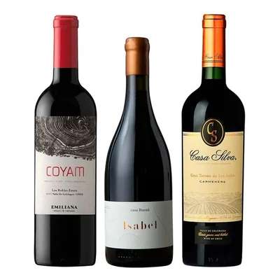 TRIO COYAM - BAUZA - CASA SILVA: 1x Vino Orgánico COYAM 750cc + 1x Vino Ícono Casa Bauzá Isabel 750cc + 1x Vino Casa Silva Gran Terroir Carmenere 750cc