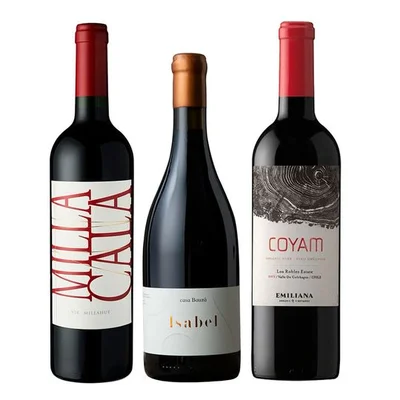 TRIO VIK - BAUZA - COYAM: 1x Vino Vik Milla Cala Ensamblaje 750cc + 1x Vino Orgánico COYAM 750cc + 1x Vino Ícono Casa Bauzá Isabel 750cc