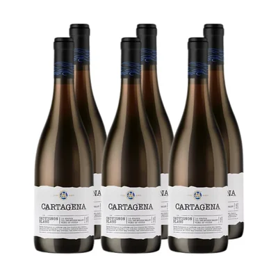 Vino Casa Marin Cartagena Sauvignon Blanc 750cc x6 ($9.490 c/u)