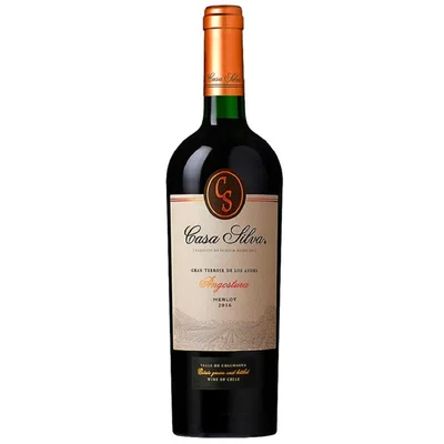 Vino Casa Silva Gran Terroir Merlot 750cc