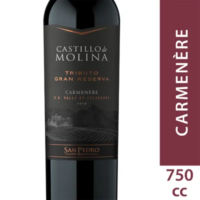 Vino Castillo De Molina Tributo Carmenere 750cc