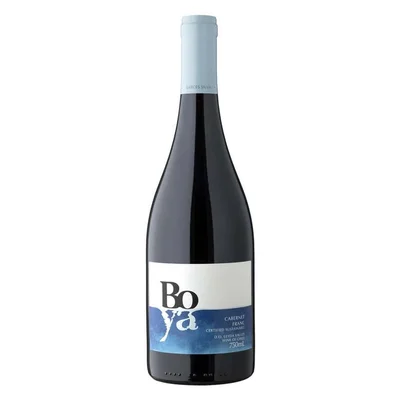 Vino Garcés Silva Boya Cabernet Franc 750cc