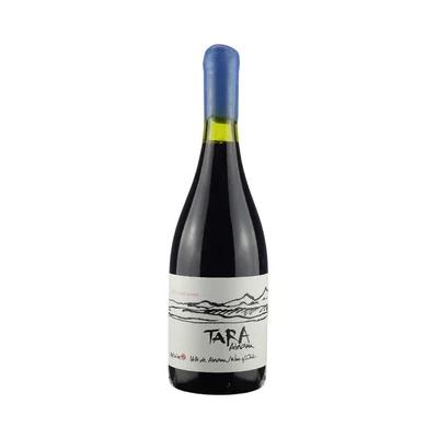 Vino Tara Ventisquero Syrah 750cc