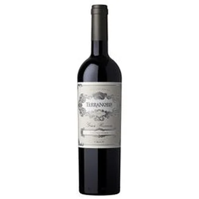Vino Terranoble Gran Reserva Carmenere 750 cc