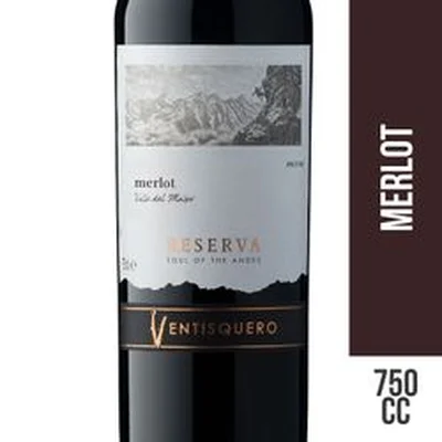 Vino Ventisquero Alma de Los Andes Reserva Merlot 750 cc
