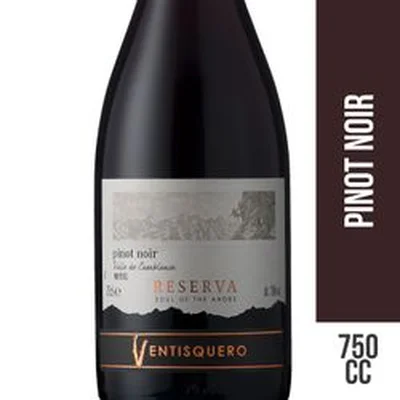 Vino Ventisquero Alma de Los Andes Reserva Pinot Noir 750 cc