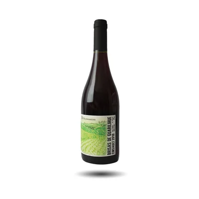 Wildmakers - Brisas de Guarilihue, Cinsault, 2021