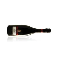 Il Mio Lambrusco IGT Tinto