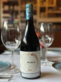 MORCA GARNACHA