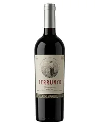 Terrunyo Carmenere x 750ml