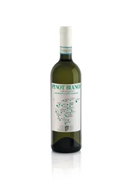 Vino blanco CANTINA COLLI EUGANEI pinot Blended (750 ml)