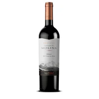 Vino Tinto Castillo De Molina Reserva Merlot 750 ml
