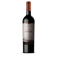 Vino Tinto Castillo De Molina Reserva Tributo Cabernet Sauvignon 750 ml