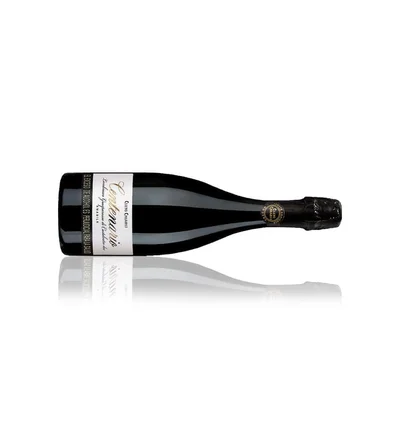 Cleto Chiarli Lambrusco Centenario Tinto