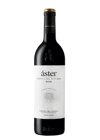 Áster Finca el Otero