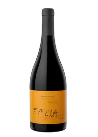 Emma Zuccardi Bonarda