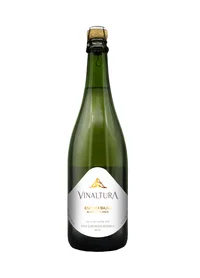 Espumoso Bajio Blanc De Blancs