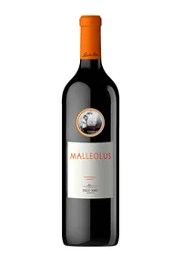 Malleolus