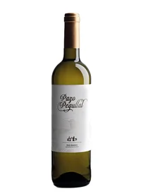 Pazo Pegullal