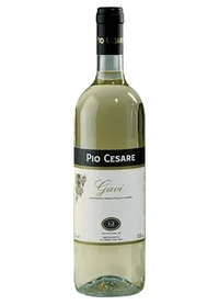 Pio Cesare Gavi