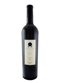 Pozo de Luna Merlot 2016 Single Vineyard
