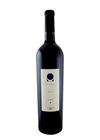 Pozo de Luna Syrah 2016, Single Vineyard