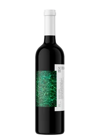 Scielo Reserva R1 Merlot