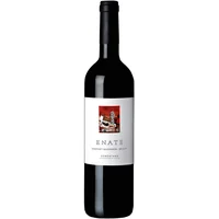 Vino Tinto Enate Cabernet - Merlot 750 ml | DO Somontano, España