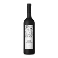 Vino Tinto Mexicano Casa Madero Shiraz 750ml