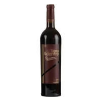 Vino Tinto Mexicano Tierra Adentro Syrah 750ml