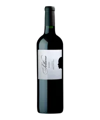 VT MALBEC SOTTANO 750ML