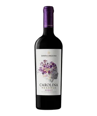 VT MERLOT RVA SANTA CAROLINA 750ML