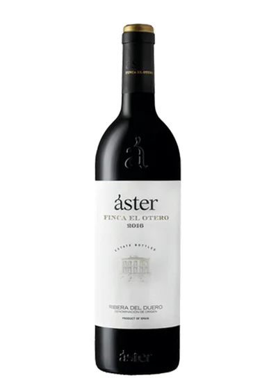 Áster Finca el Otero