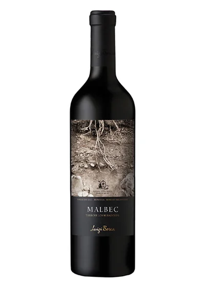Malbec Terroir Los Miradores