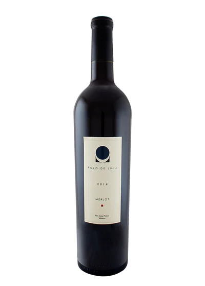 Pozo de Luna Merlot 2016 Single Vineyard