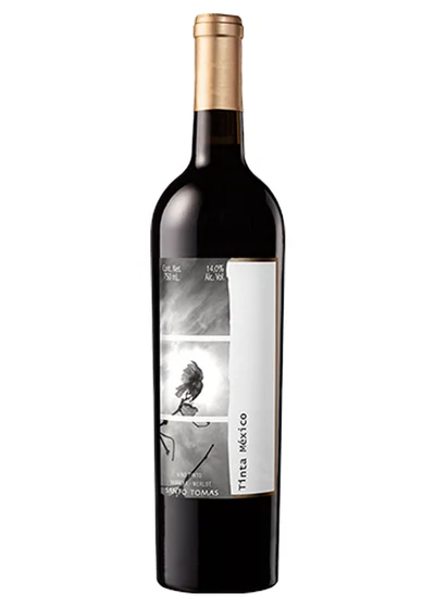 Santo Tomás Tinta México