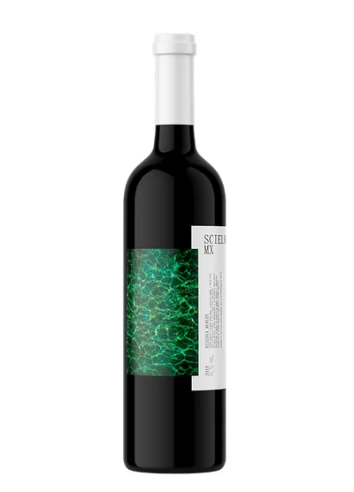 Scielo Reserva R1 Merlot