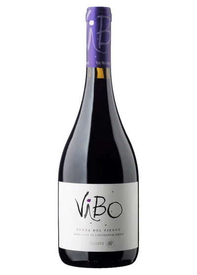 ViBo Punta del Viento