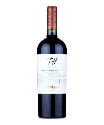 Vino Tinto Undurraga Terroir Hunter C Sau 750 ml